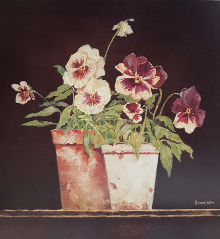 Obrázek 18x18, macešky v květináči, rám bílý s patinou