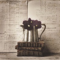 Obrázek 18x18, fialky, rám sv. dub - červotoč