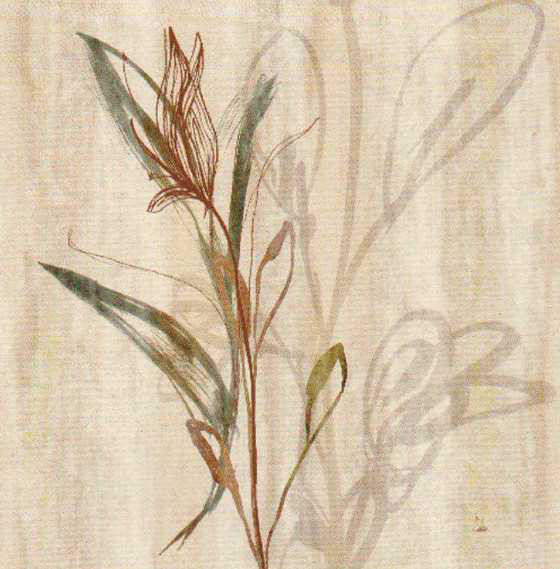 Obrázek 18x18, rostlina I., rám sv.dub - červotoč