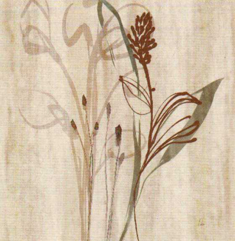Obrázek 18x18, rostlina II., rám sv. dub - červotoč