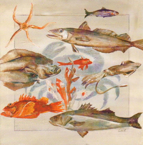 Obrázek 30x30, ryby, rám sv. dub - červotoč