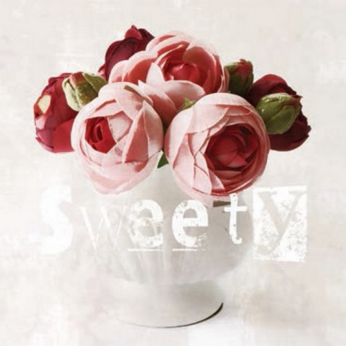 Obrázek 30x30, sweety, rám bílý s patinou