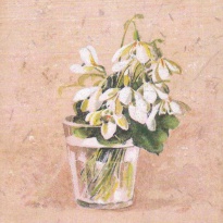 Obrázek 20x20, sněženky, rám bílý s patinou