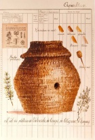 Obrázek 30x40, úl, rám sv. dub - červotoč