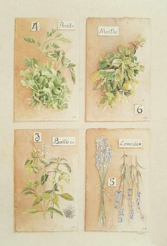 Obrázek 13x18, bylinky II., rám bílý s patinou