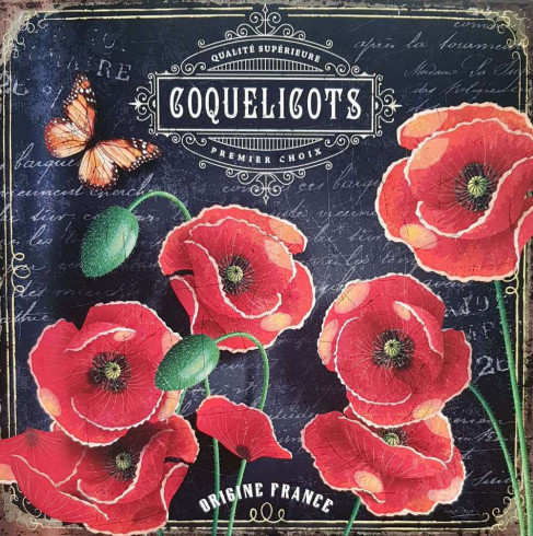 Obrázek 30x30, máky II., rám bílý s patinou