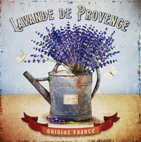 Obrázek 30x30, levandule v konvi, rám sv. dub - červotoč