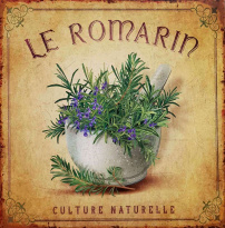 Obrázek 30x30, rozmarýn II., rám sv. dub - červotoč