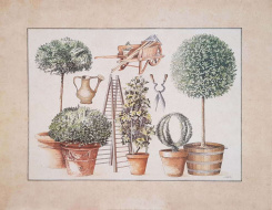 Obrázek 50x65, zahrada, rám sv. dub - červotoč