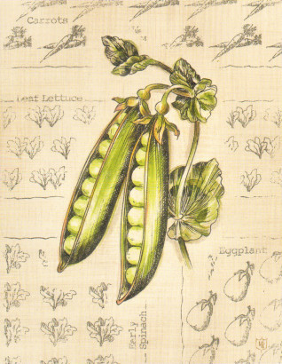 Obrázek 24x30, hrášek, rám bílý s patinou