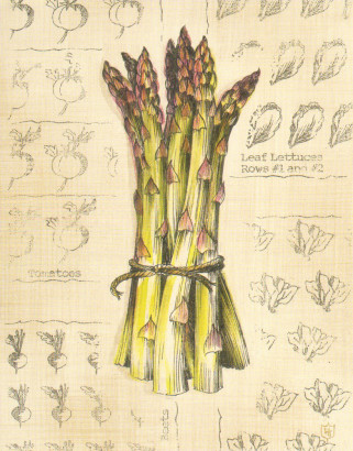 Obrázek 24x30, chřest, rám bílý s patinou