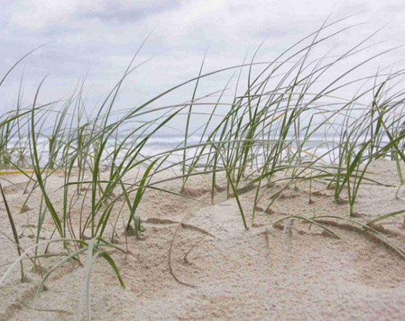 Obrázek 17x22, pláž, rám bílý s patinou