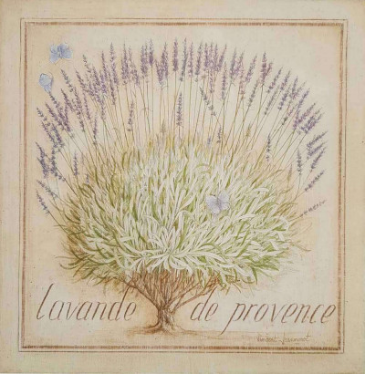 Obrázek 40x40, levandule provence II., rám sv. dub - červotoč