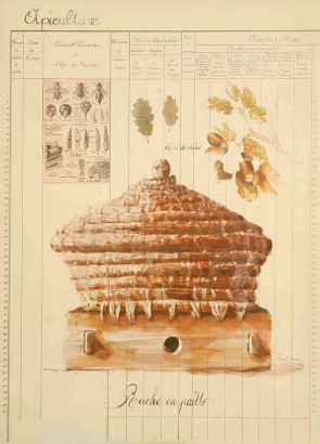 Obrázek 30x40, úl II., rám sv. dub - červotoč