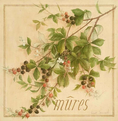 Obrázek 20x20, ostružiny I., rám bílý s patinou