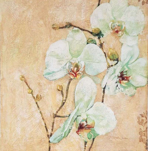 Obrázek 18x18, orchidea, rám bílý s patinou