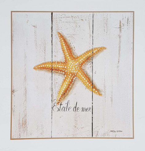 Obrázek 33x33, hvězdice, rám sv. dub - červotoč