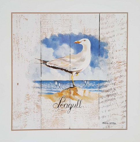 Obrázek 33x33, racek, rám sv. dub - červotoč