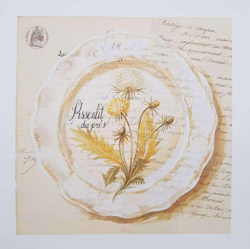 Obrázek 33x33, talíř s pampeliškou, rám bílý s patinou