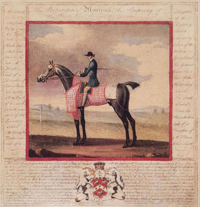 Obrázek 18x18, kůň I., rám sv. dub - červotoč