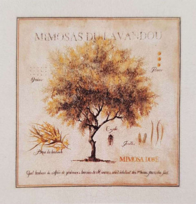 Obrázek 70x70, mimóza, rám bílý s patinou