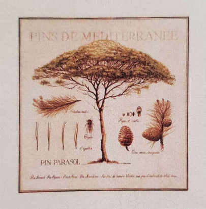 Obrázek 70x70, borovice, rám bílý s patinou