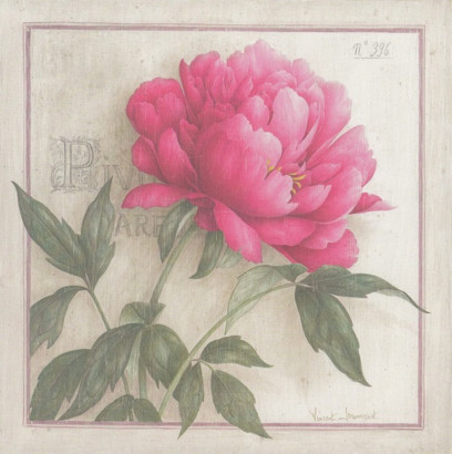 Obrázek 20x20, pivoňka I., rám bílý s patinou