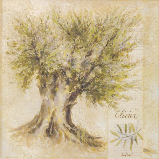 Obrázek 14x14, olivovník v písmu, rám bílý s patinou