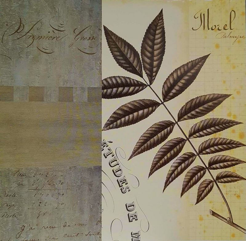 Obrázek 18x18, koláž - list ořechovce, rám bílý s patinou