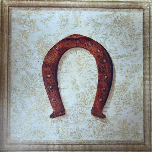 Obrázek 20x20, podkova, rám sv.dub - červotoč