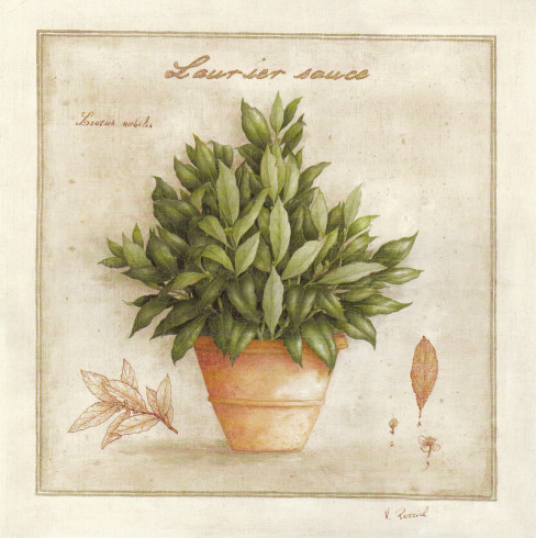 Obrázek 30x30, vavřín, rám SM1