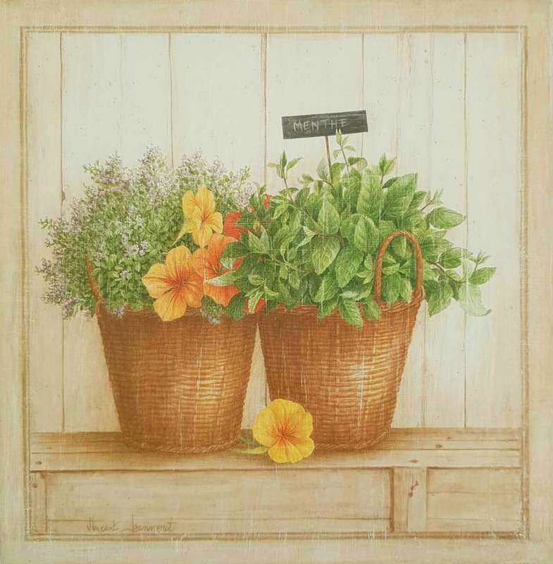 Obrázek 20x20, máta, rám SM1