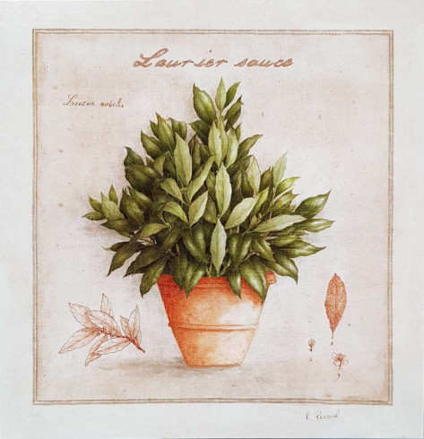 Obrázek 14x14, vavřín II., rám SM1