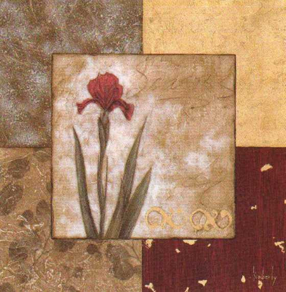 Obrázek 18x18, kosatec., rám bílý s patinou