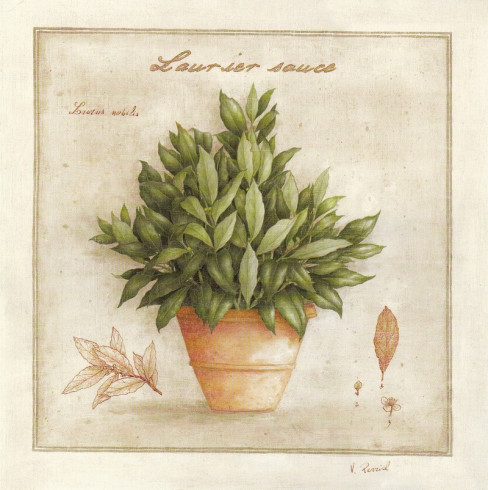 Obrázek 30x30, vavřín, rám bílý s patinou