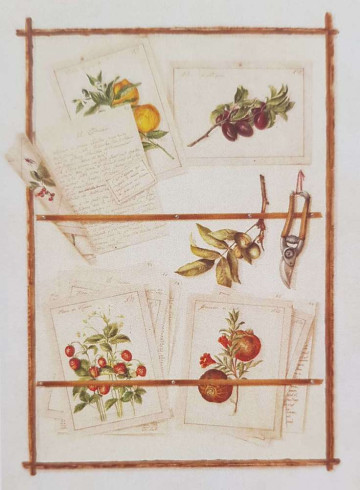 Obrázek 30x40, botanika V., rám SM1