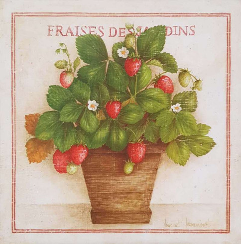 Obrázek 20x20, jahodník v květináči, rám SM1