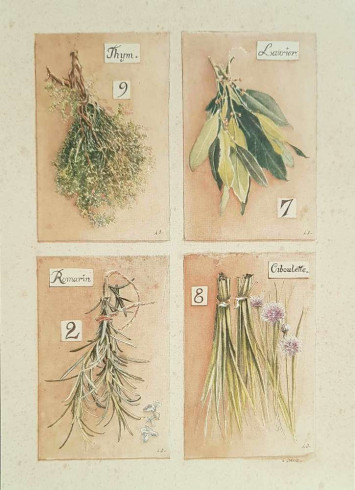 Obrázek 13x18, bylinky I., rám SM1