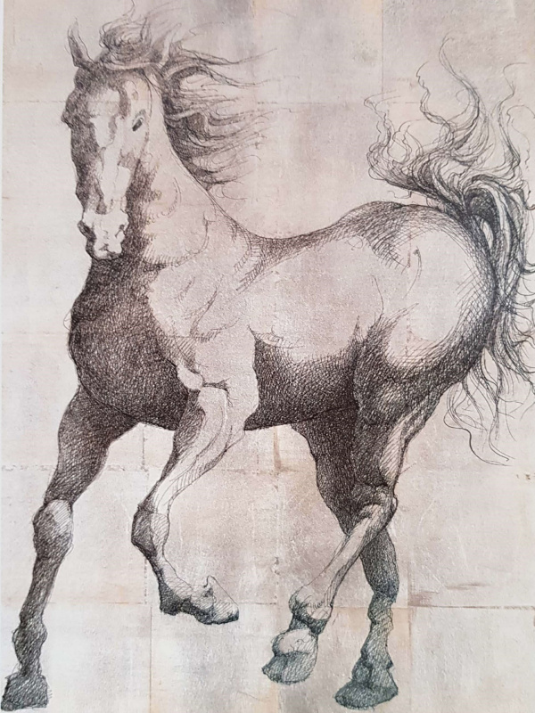 Obrázek 17x22, kůň II., rám sv. dub - červotoč