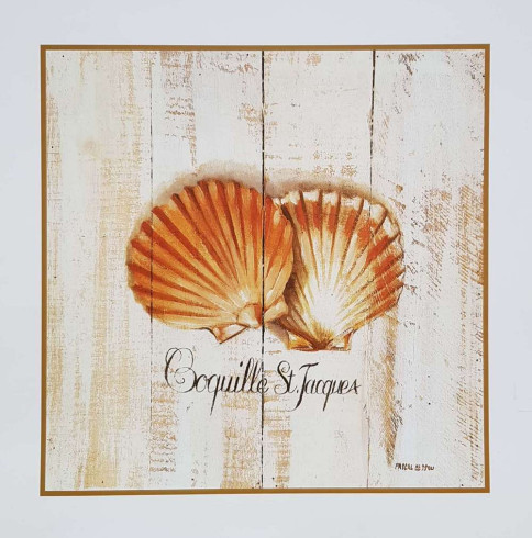 Obrázek 14x14, mušle, rám SM1