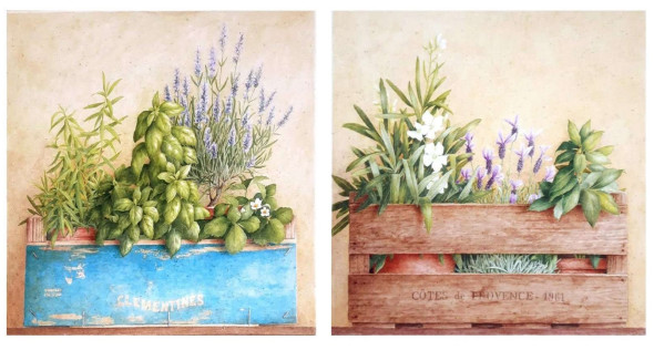 Set obrázků 14x14, truhlík 2ks, rám SM1