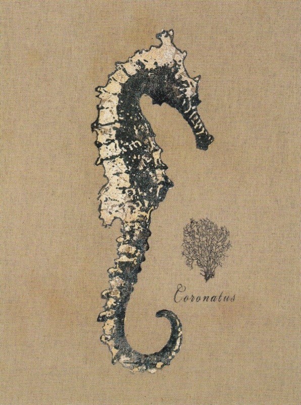 Obrázek 24x30, mořský koník, rám bílý s patinou
