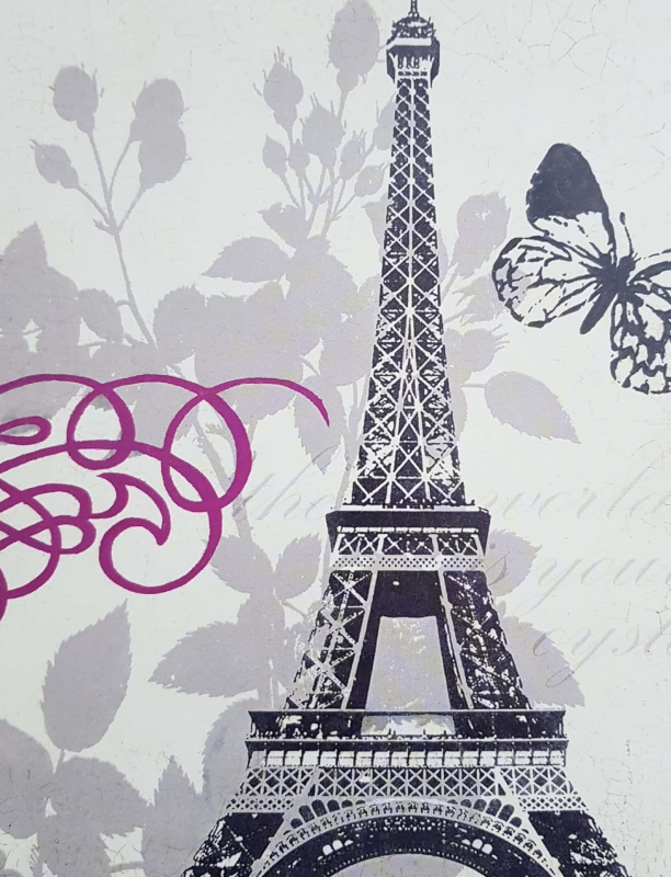 Obrázek 24x30, motýl, rám SM1