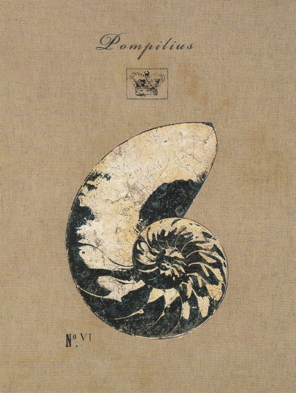 Obrázek 24x30, loděnka hlubinná, rám SM1