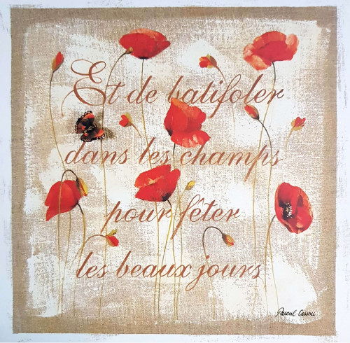 Obrázek 20x20, máky I., rám SM1